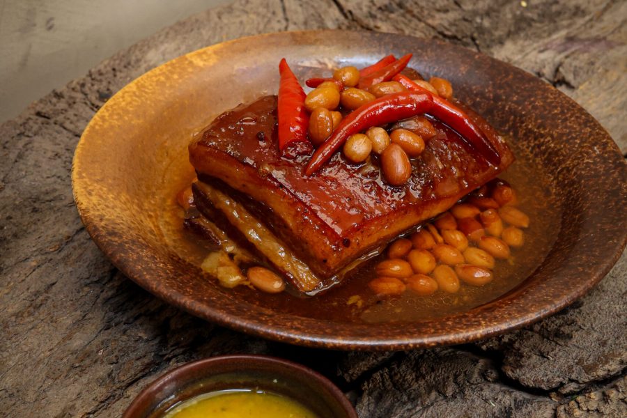 0V8A3002-3 0V8A3002-3